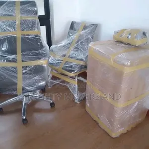 Professional Movers and Packers Services Within