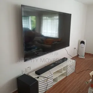 Movers and Professional Packers