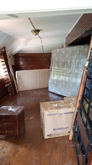 Movers and Packers Services Within
