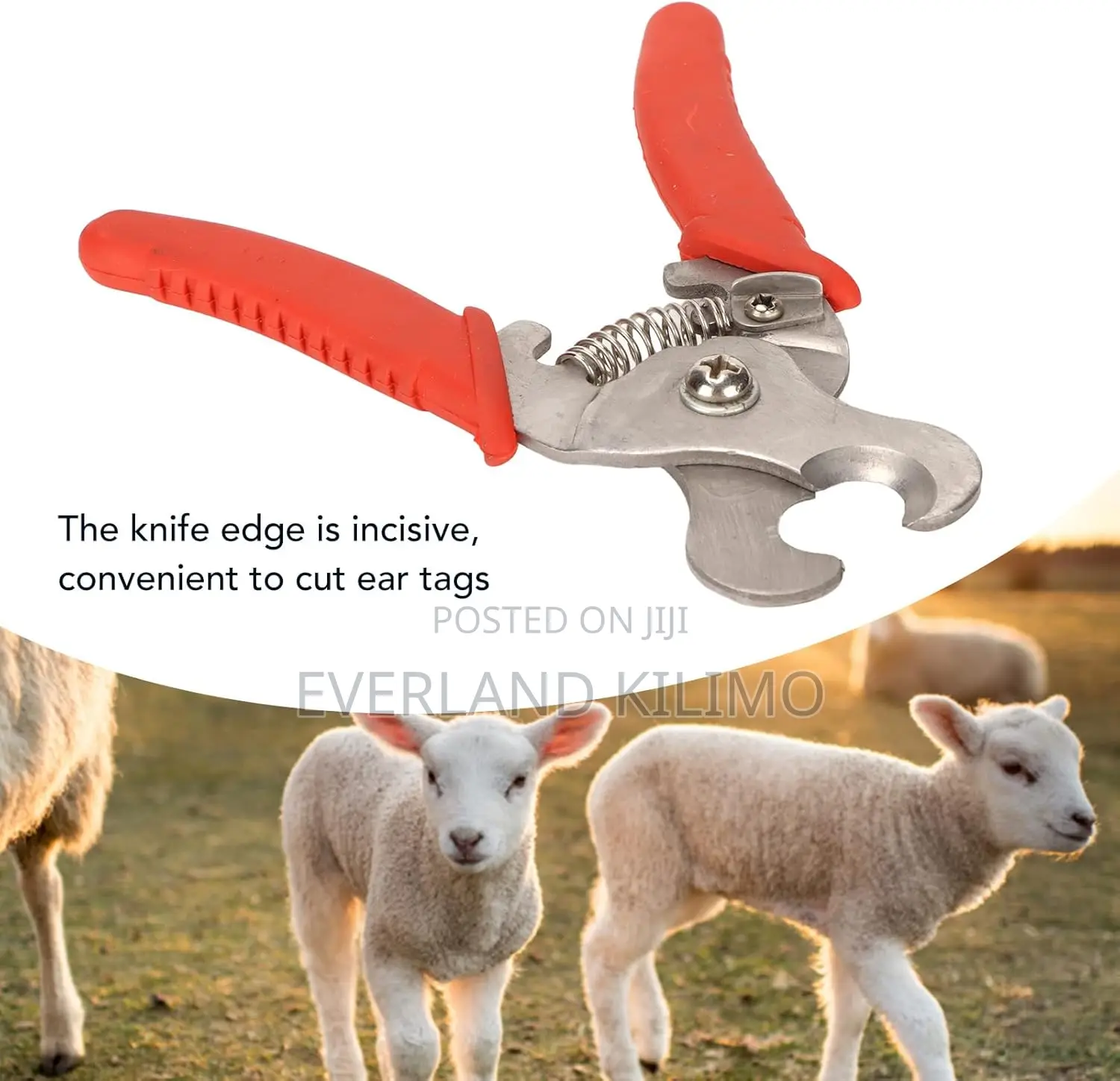 Ear Tag Remover Pliers