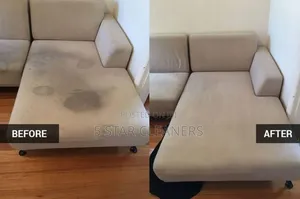 Best Sofa Cleaning/Pest Control