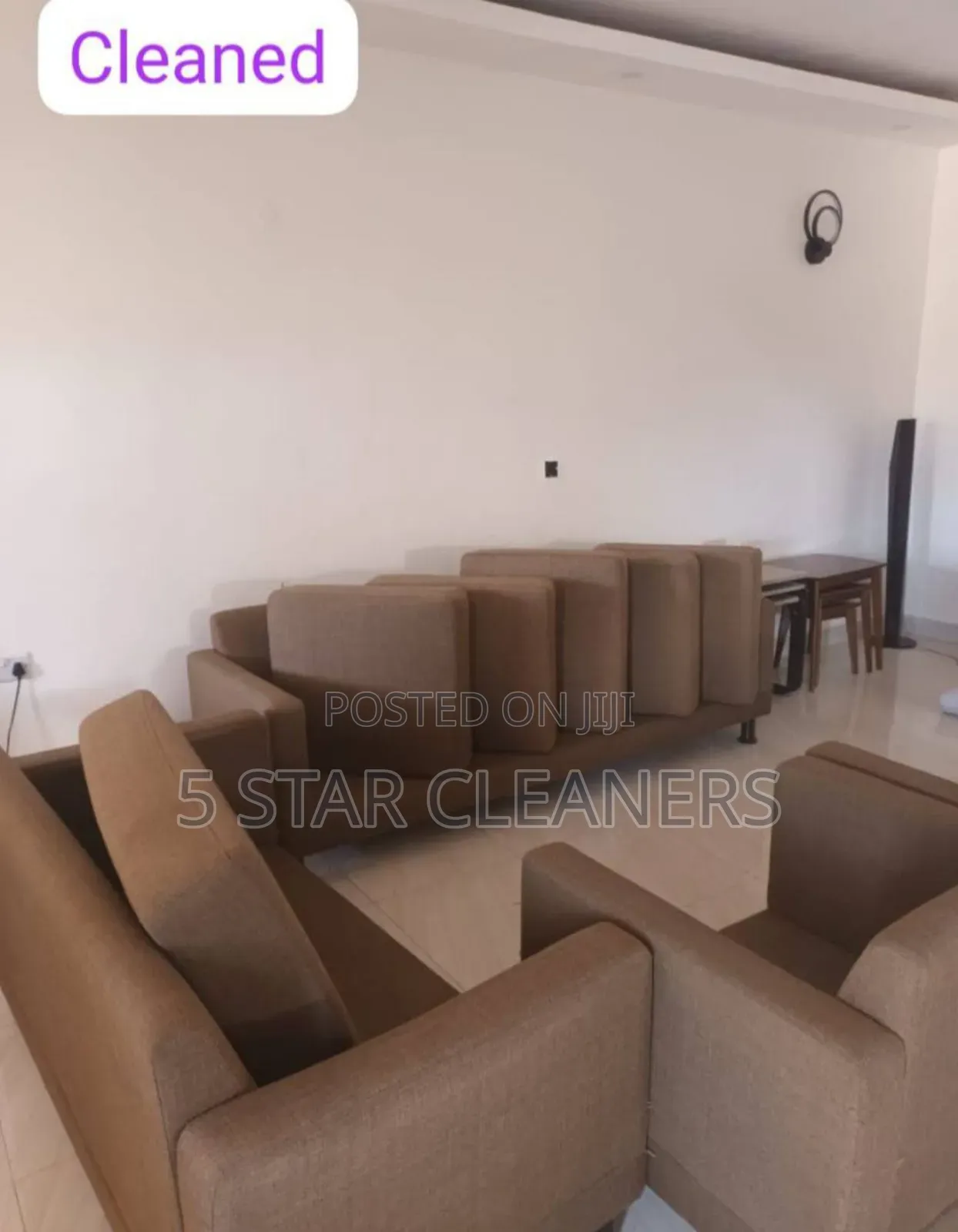 Essential Carpet Cleaning and Sofa Cleaning Services