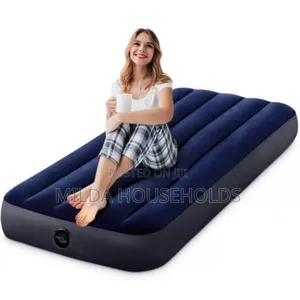 Intex Inflatable Mattress With Pump