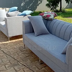 Steaming/Vacuuming, Wet and Dry Sofa Cleaning Services