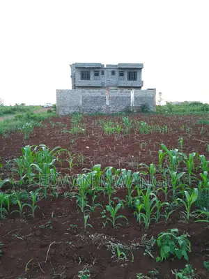 1⁄8th Acre For Sale At Kangema Farmland Neighboring Thika Greens.