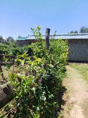 2bdrm House in Uplands, Lari/Kirenga for sale