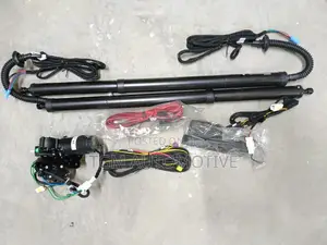 Electric Boot Shock Harrier 2014 - Pair