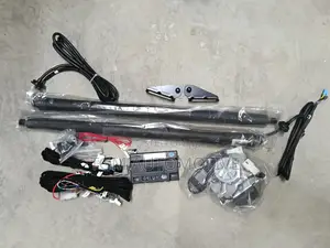 Electric Boot Shock Fortuner 2016 (Pair)