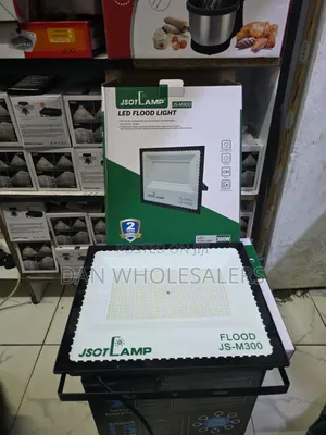 Jsot 300w Electric Floodlight