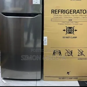 Freshness Meets Style Lg 234 Litres Double Door Refrigerator in Silver