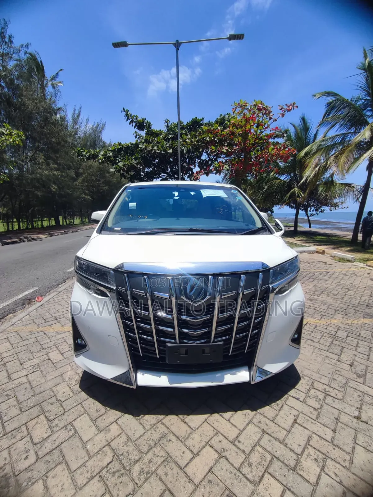 Toyota Alphard 2019 White