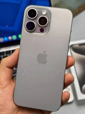 Apple iPhone 15 Pro Max 256 GB Gray
