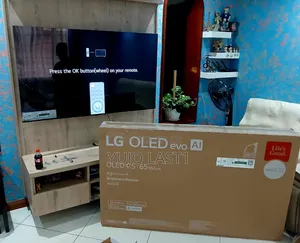 Lg 55-Inch Class Oled Evo Ai C5 Series Smart Tv