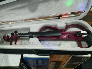 Electric Violin 22k
