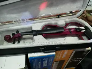 Electric Violin 22k