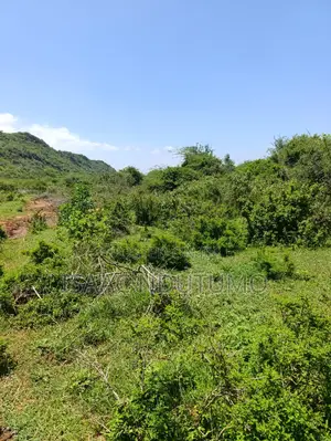 2 Acres Saikeri Price: KSH 1.5m Per Acre (Total KSH 3m)