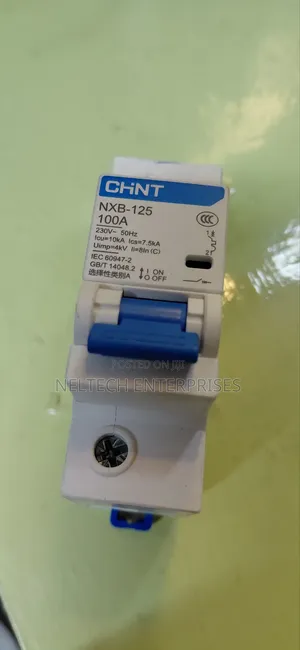Double Pole 100 Amps