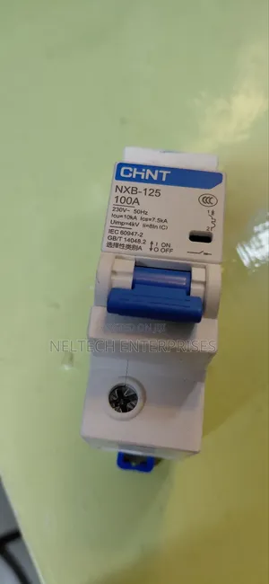 Double Pole 100 Amps
