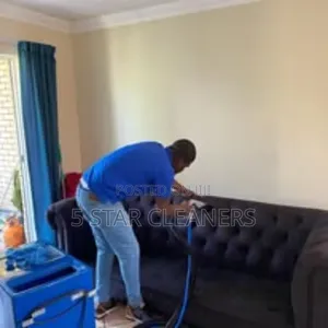 Precision Sofa Cleaning Services