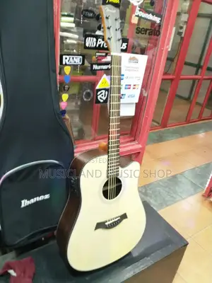 Fender Semi Acoustic Professional Guitar 20l