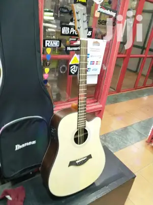 Fender Semi Acoustic Professional Guitar 20l