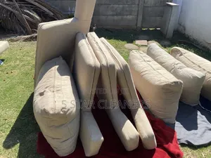 Quality and Affordable Couch and Sofa Cleaning Services