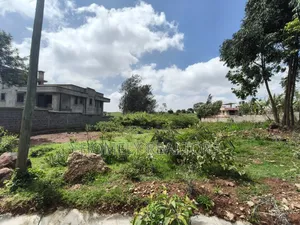 Half Acre Plot for Sale in Kerarapon Drive, Ngong.