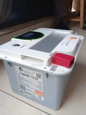 2.56kw/H 12.8v Lithium Battery (Felicity)