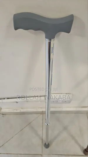 Walking Stick (Adjustable)