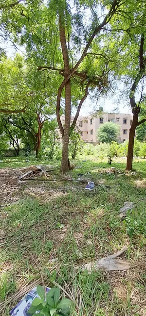 For Sale Quater of an Acres Plots Mtwapa