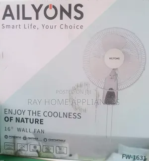 16 Inches Wall Fan