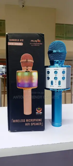 Ws-858l Hifi Wireless Microphone With Tf/Usb And Echo Effects