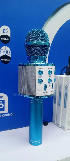 Ws-858l Handheld Ktv Wireless Microphone For Karaoke & Recording