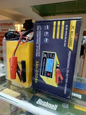 Blm-866c Microcomputer Controlled Battery Charger With Safety