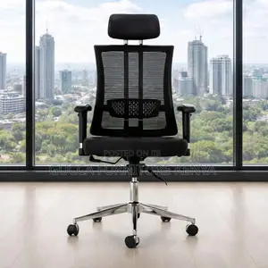 Executive Orthopedic High-back Office Chair