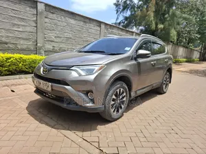 Toyota RAV4 2017 Gray