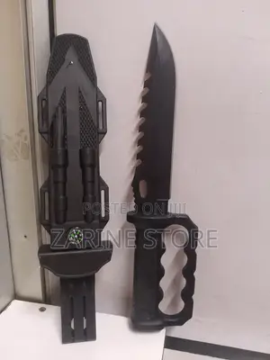 Sharp Stainless Steel Kitchen Or Camping Knife With Handle Compass
