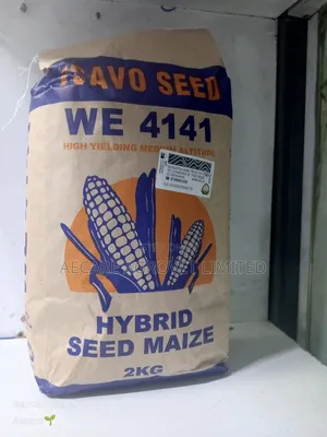 Maize Tsavo Seeds 4141 . 2kgs