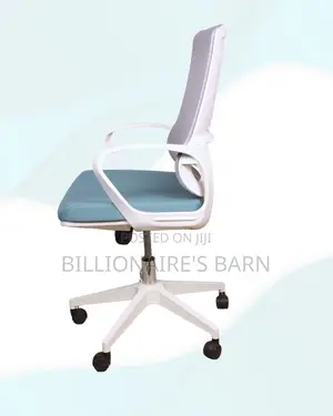 White Ergonomic Mesh Office Chair Mid Back Lumbar Support Adjustable