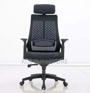 Office Chair : Lama Orthopedic Ergonomic Office Chair