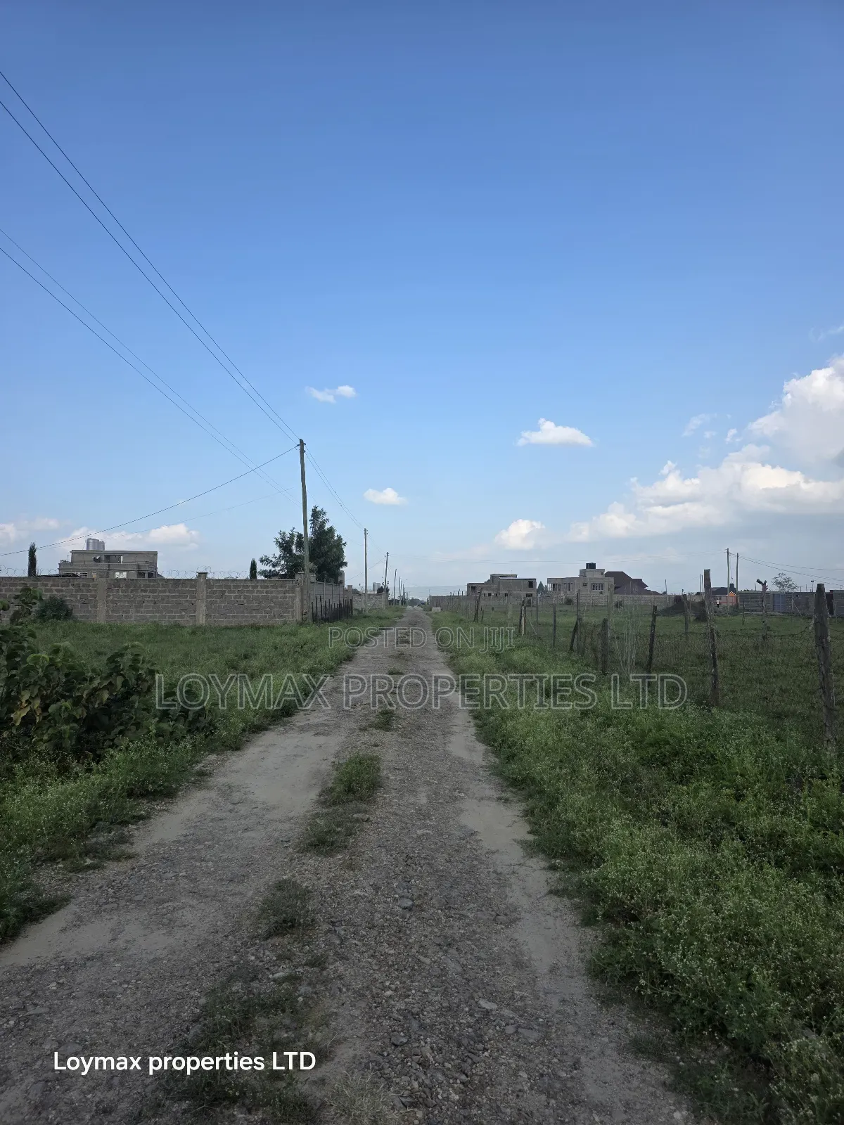 100×100 Plot in Kitengela Milimani