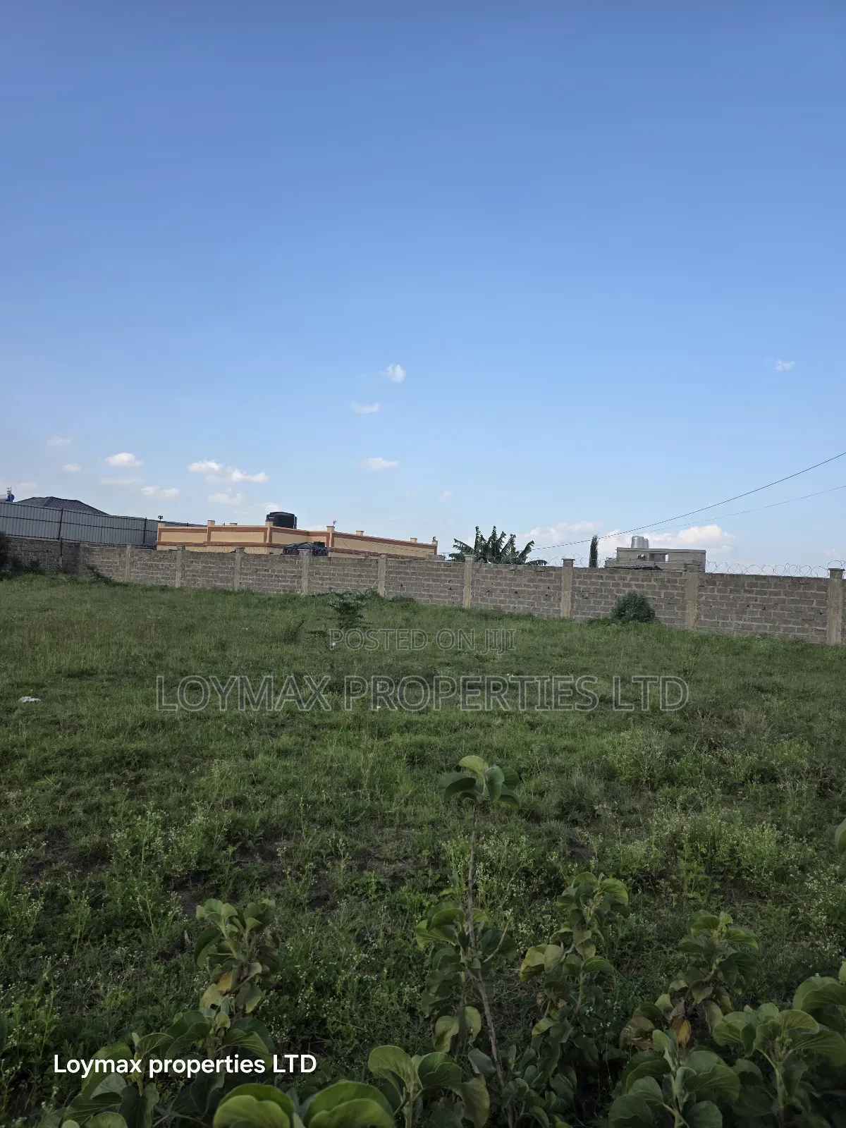 100×100 Plot in Kitengela Milimani