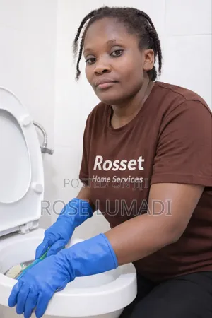 Professional Cleaning Services for Homes and Apartments in Nairobi