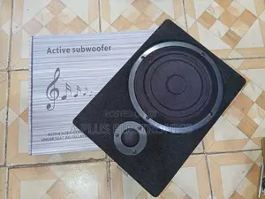 801 8 Inch Underseat Subwoofer