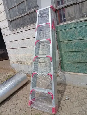 Double Sided Aluminium Ladder