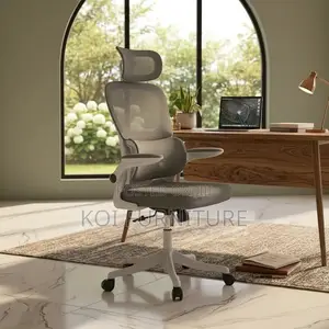 Office Chairs; Orthopedic Reclining Office Chairs