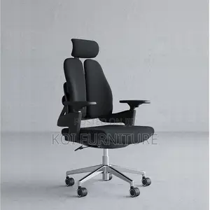 Office Chairs; Modern Orthopedic Chair With Dual Backrest