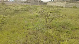 Land For Sale At Chuna Estate Kitengela