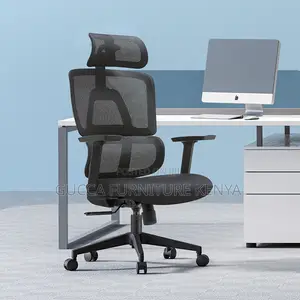 Executive High-back Orthopedic Mesh Office Seat