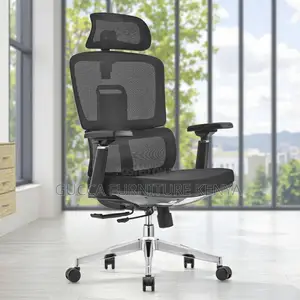 Executive High-back Orthopedic Mesh Office Seat